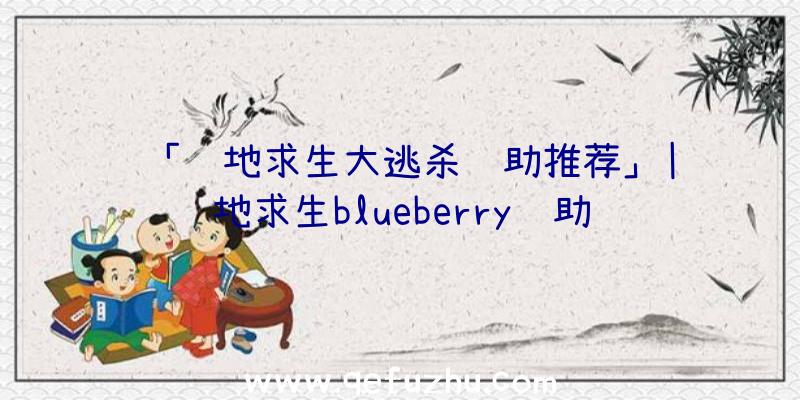 「绝地求生大逃杀辅助推荐」|绝地求生blueberry辅助